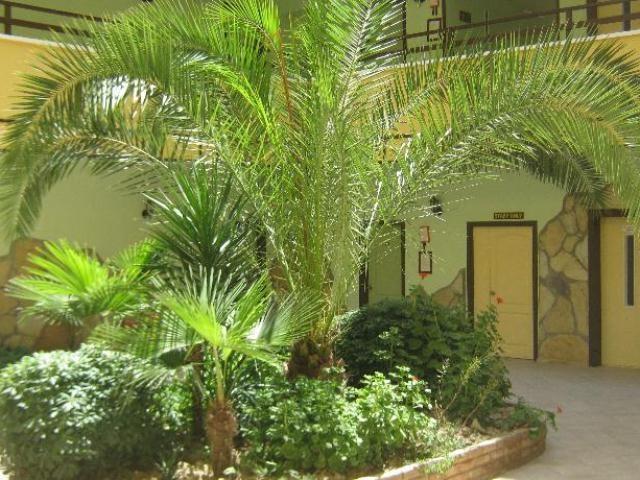 Oya Apartments Kusadası Exterior foto